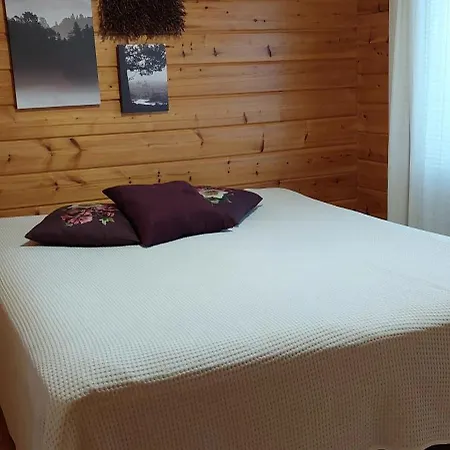 アパート Alppiruusu A